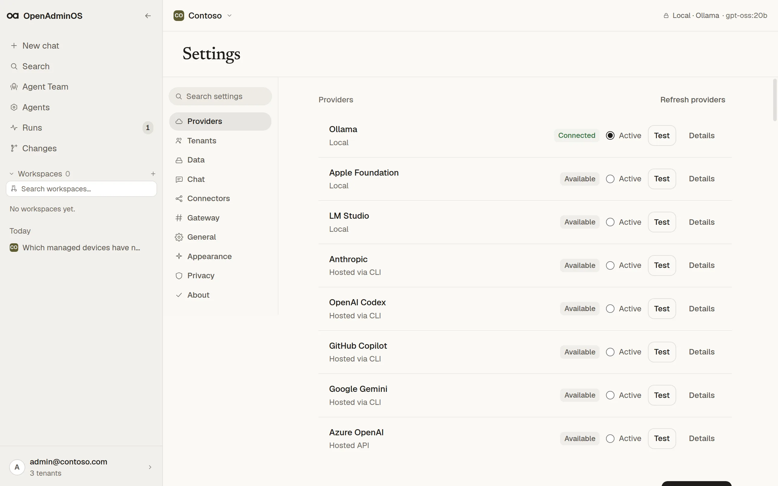 Provider settings with local and hosted model providers